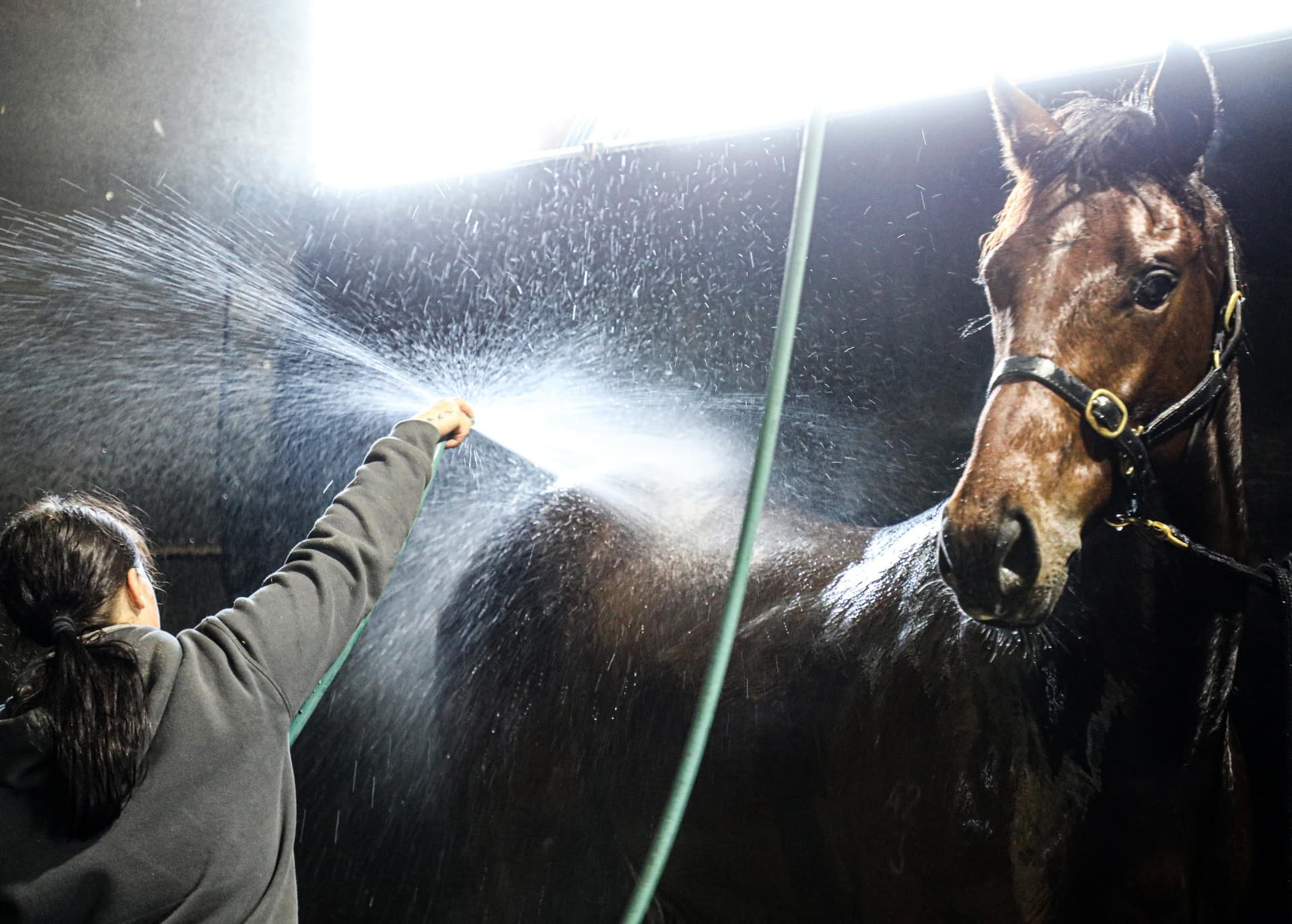 Hunters Lodge 108.jpg