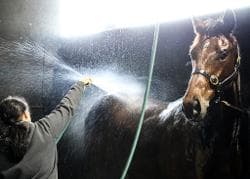 Hunters Lodge 108.jpg