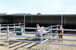 Hunters Lodge 97.jpg