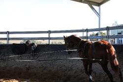 Hunters Lodge 80.jpg