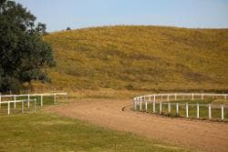 Hunters Lodge 110.jpg