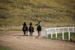 Hunters Lodge 24.jpg