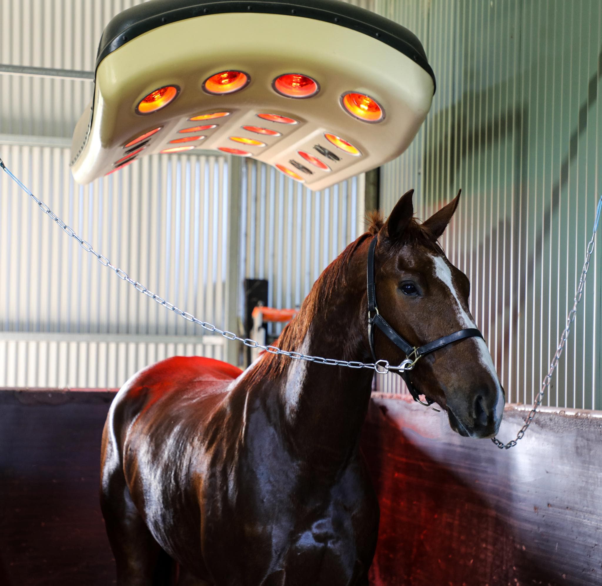 Hunters Lodge 69.jpg