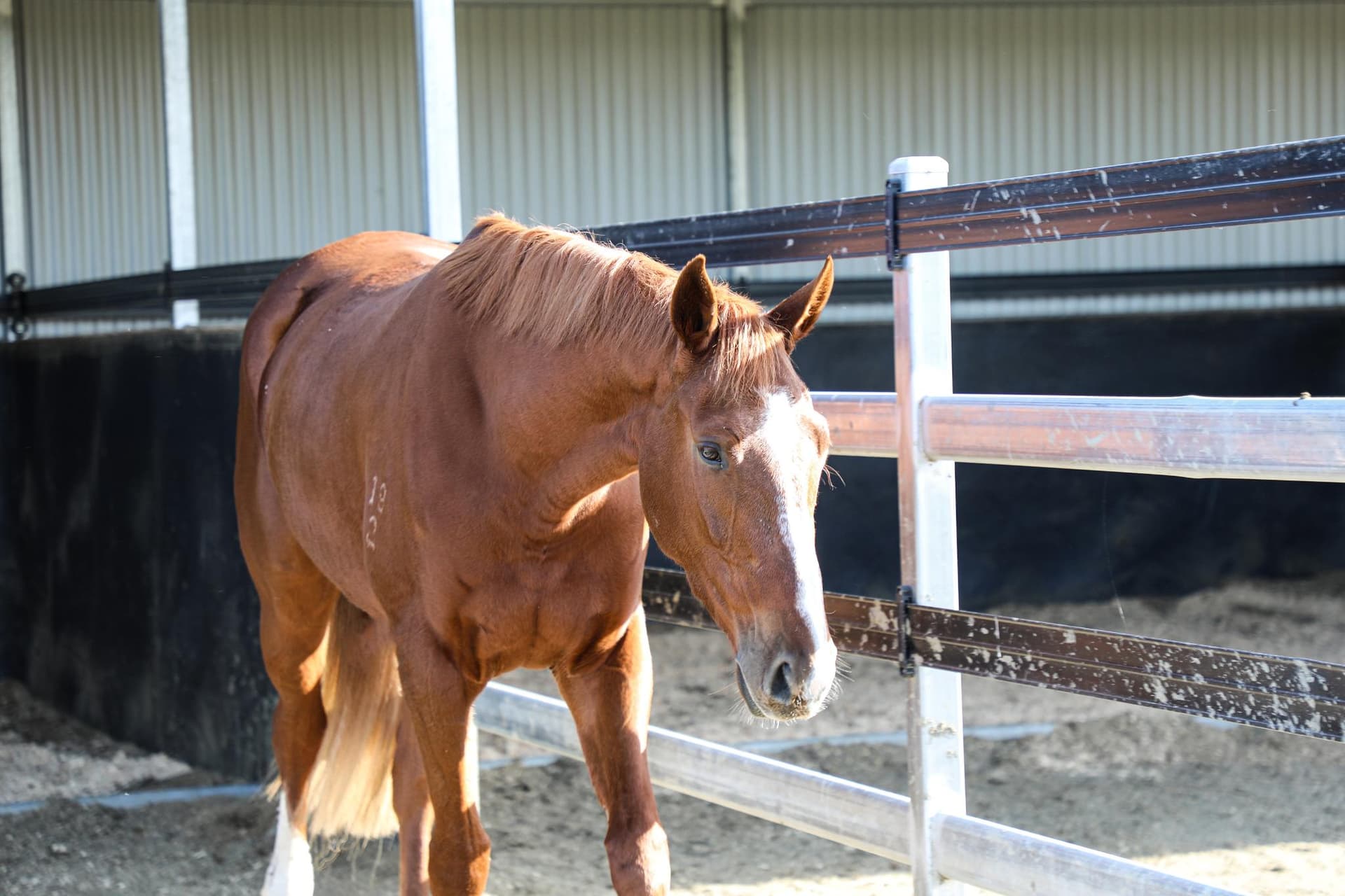 Hunters Lodge 99.jpg